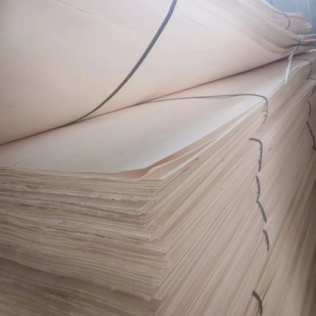New Design Rotary Cut Natural Veneer Wood Thickness Natural Poplar Veneer