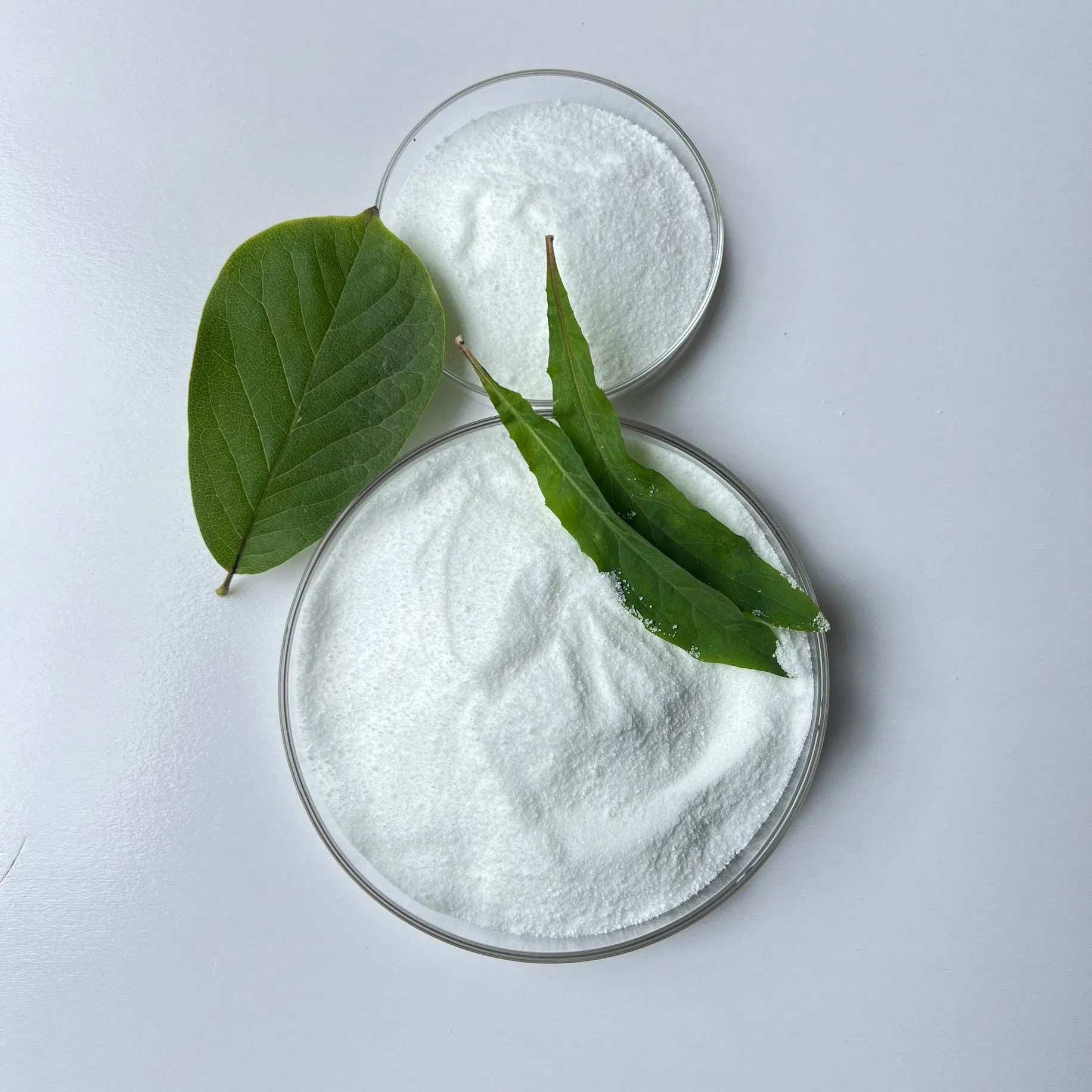 High-Purity Construction Chemicals Sodium Gluconate White Powder Admixture Industrial Grade