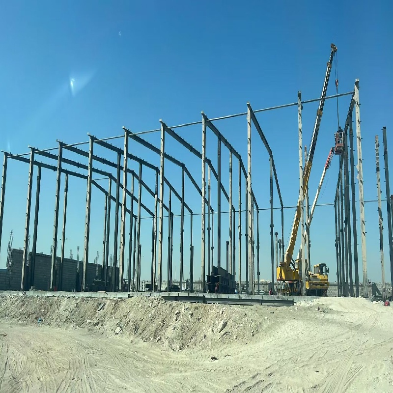 Customized Designed High Quality Steel Structure Warehouse