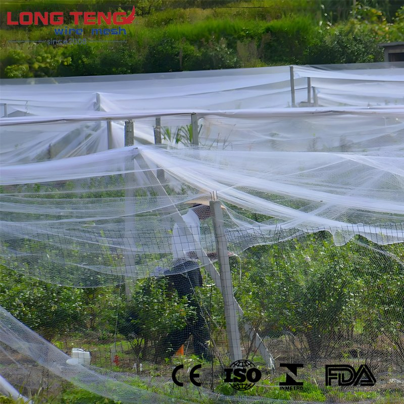 Polyethylene Plastic Mesh Pallet Net for Cotton Presshay Bale Net