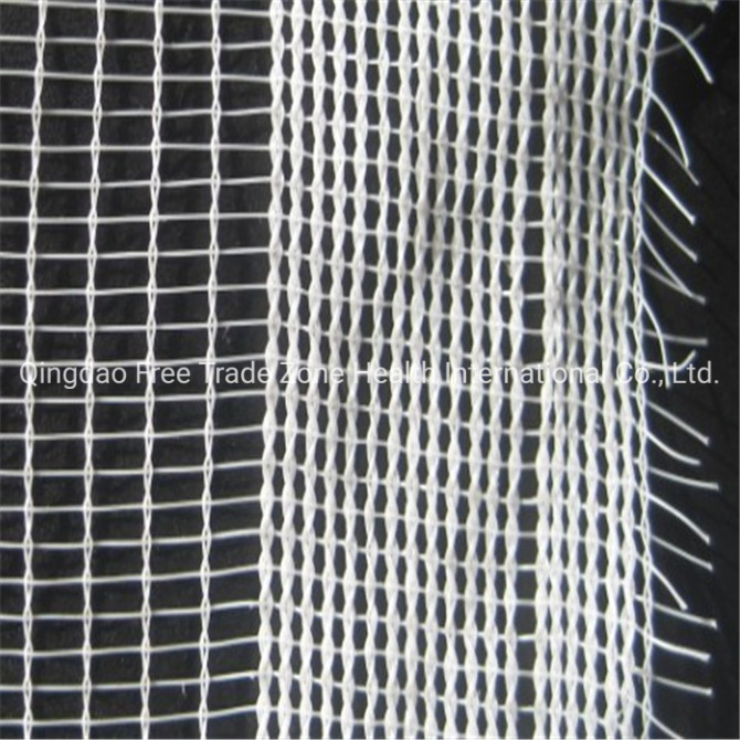 40X25mesh 70GSM Green Anti Insect Net