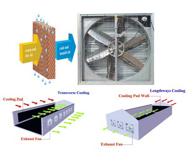 Industrial Fan Factory Direct Supply Steel Blade Hot Air Circulation Ventilation Exhaust Fan Greenhouse Industry-Supplied