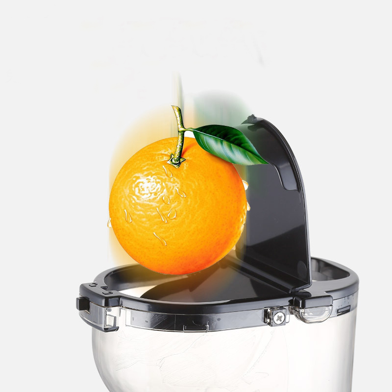 Low Speed Juicer Fruit Grinder Juice Machine
