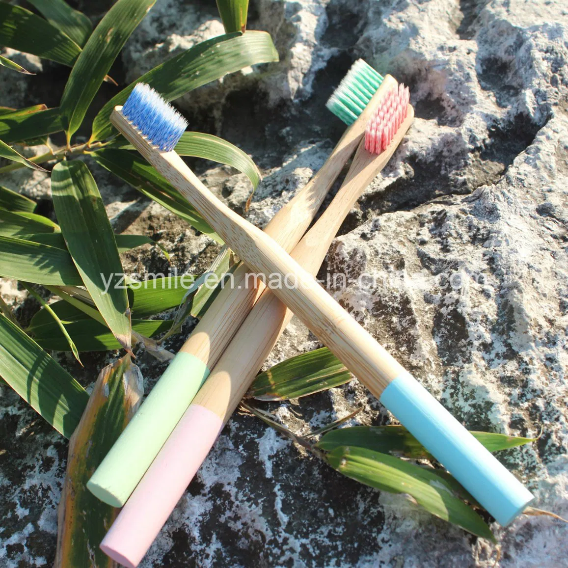 Free Sample OEM 100% Biodegradable Eco Bamboo Toothbrush