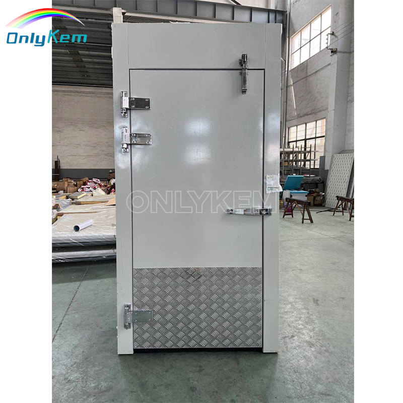Cold Room Door Walk in Cooler Hinged Door/ Swing Door