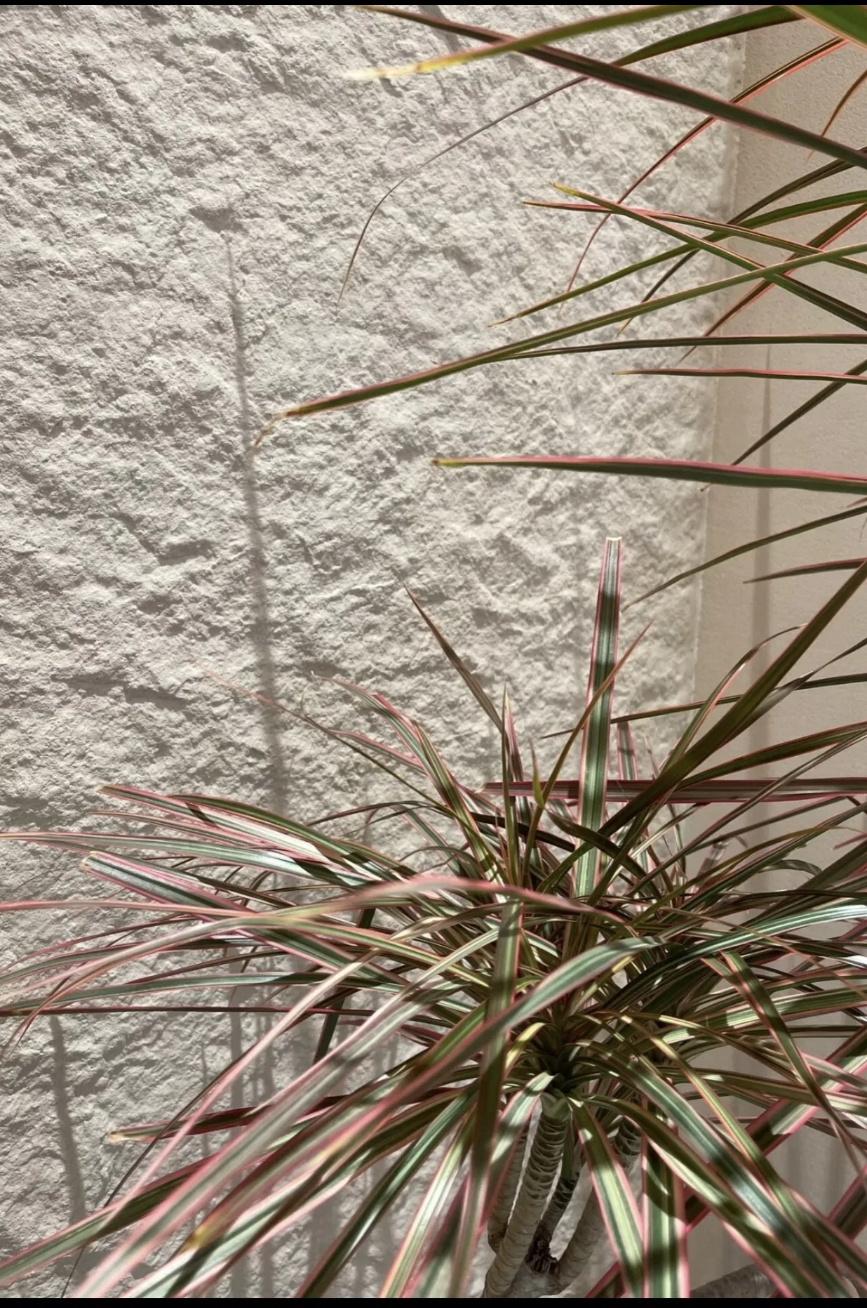 Scratch-Resistant Flexible Home Decor Building Material with Natural Stone Powder