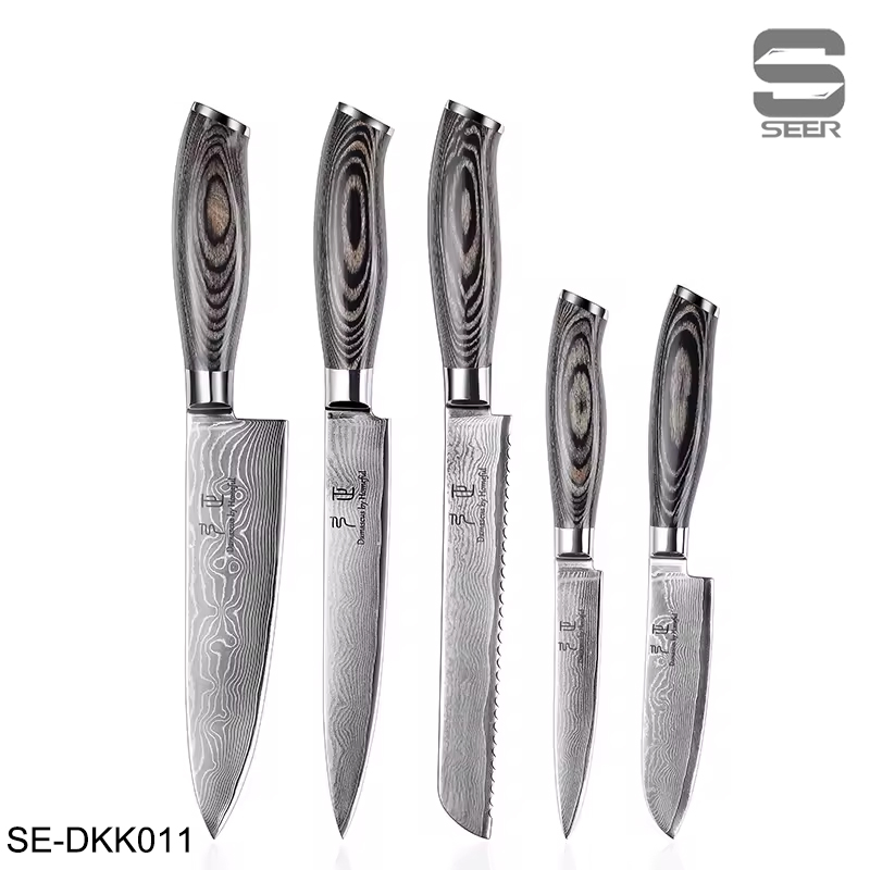 Japanese Damascus Steel 67 Layers Vg10 Core Ultra Sharp Chef Knife Kitchen Cooking Knife with Pakka Wood Handle