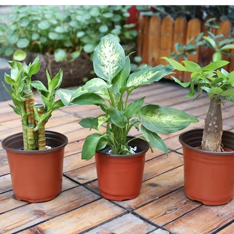 Gallon Basin Thickened Root-Controlling Basin Balcony Scindapsus Aureus Bonsai Chinese Rose Resin Plastic Flower Pot Wholesale