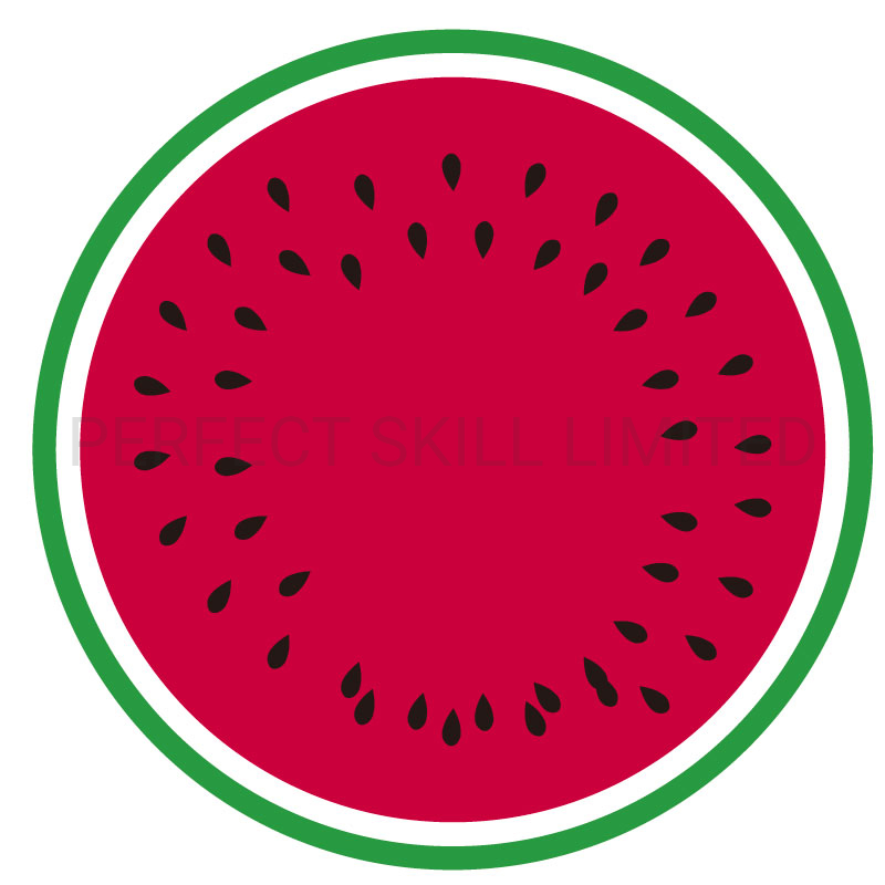Plastic PVC Round Home Kitchen Kids Table Placemats for Summer Dining