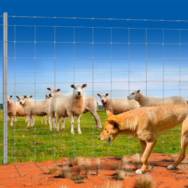 High Quality Galvanized Fixed Knot Wire Mesh Farm Fence Cattle Deer Horse