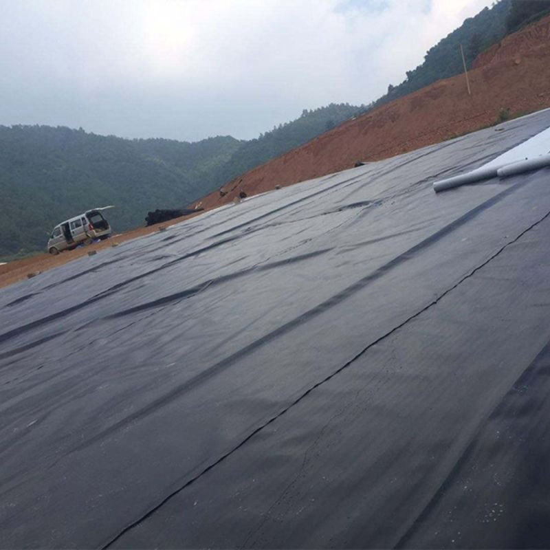 High Sales HDPE/LDPE/PVC 0.75mm 1mm 1.5mm Geomembrane Customized for Aquaculture/Dams/ Landfills/ Mining/Chemical Anti-Seepage Waterproof Impermeable Smooth