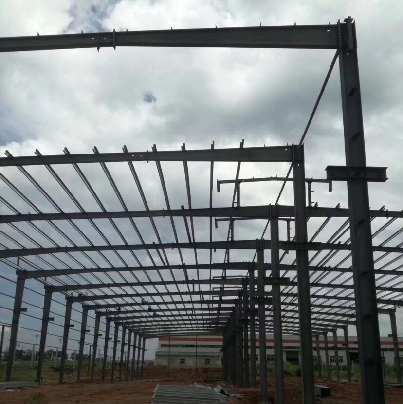 Builder Steel Structure Plant Building for Rice Mill Food Drying Shop