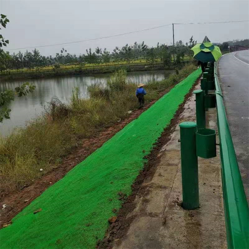 Three-Dimensional Ecological Vegetation Network – Vegetation Fixation & Slope Protection Geomat for Landscaping