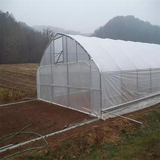 Plastic Film Tent Tunnel Greenhouse Steel Structure for Sale