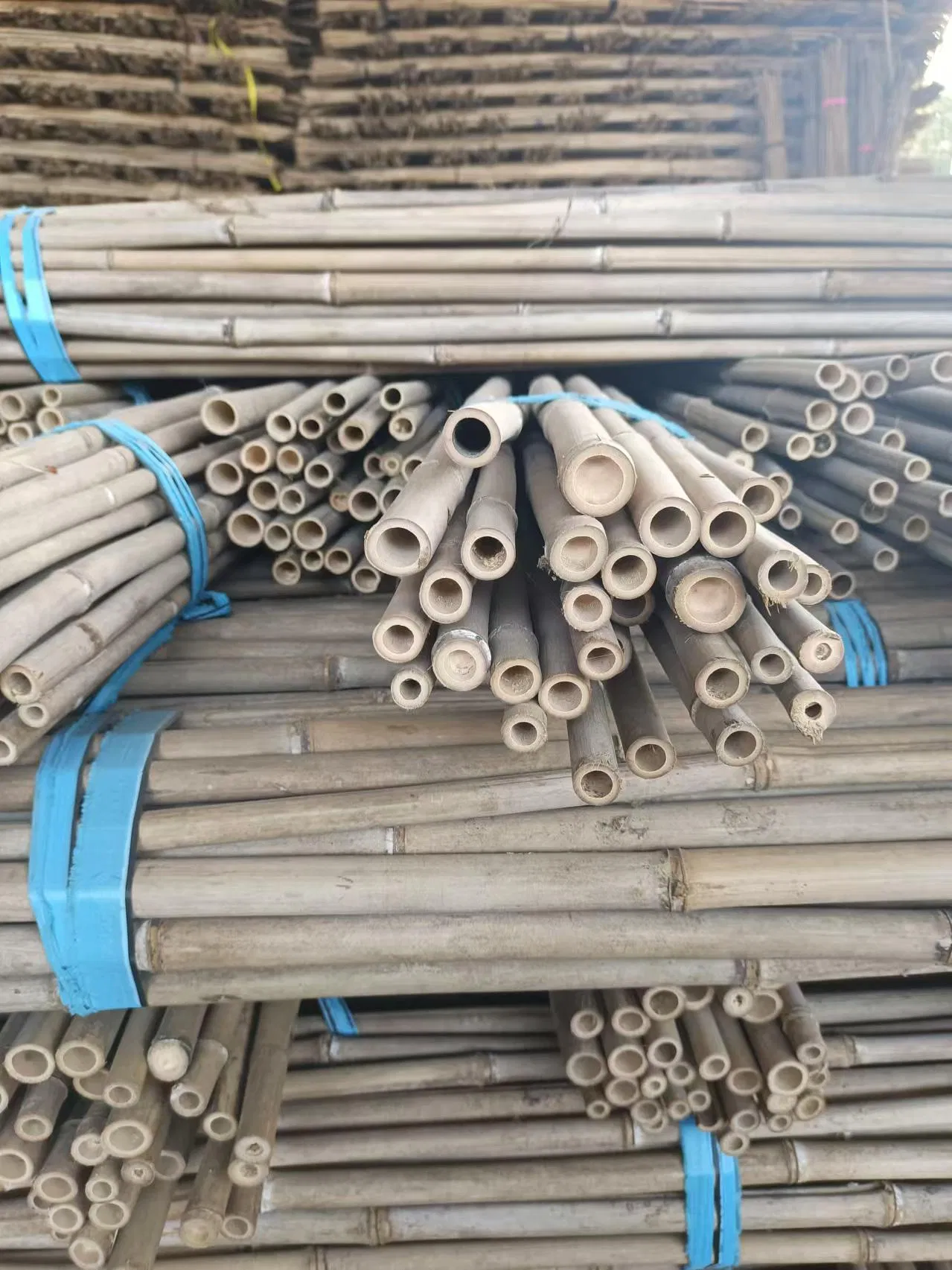 Factory Hot Sale Natural Bamboo Raw Materials Bamboo Pole Stakes for Horticulture Plantation Support