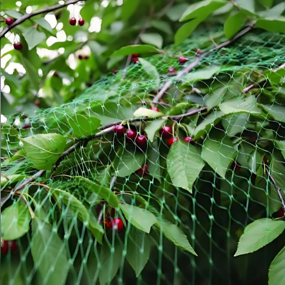 Magnetic Plant Trellis Panels That Attach to Metal Fences Without Tools
