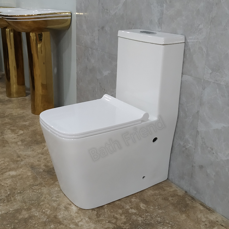 Chaozhou Sanitary Ware Ceramic Floor Mounted S-Trap One Piece Wc Toilet Bowl Wash Down Toilet
