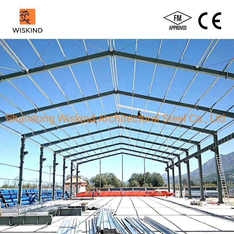 Professional Prefabricated Steel Building for Warehouse/Steel Shed/Workshop/Storage/Steel Structure/Construction Building with FM/CE/Q235B/Q355b