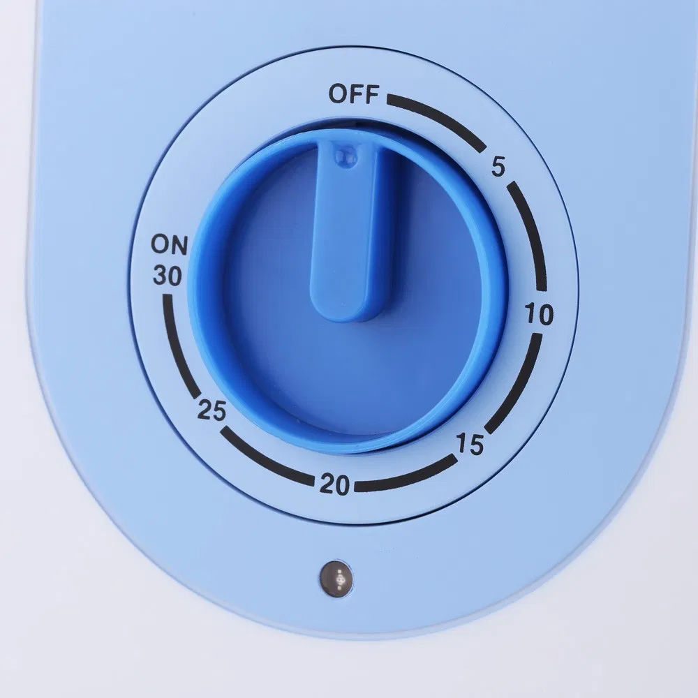 Portable Timer Control 300mg/H Ozone Air Water Generator for Fruit and Vegetables Purifier
