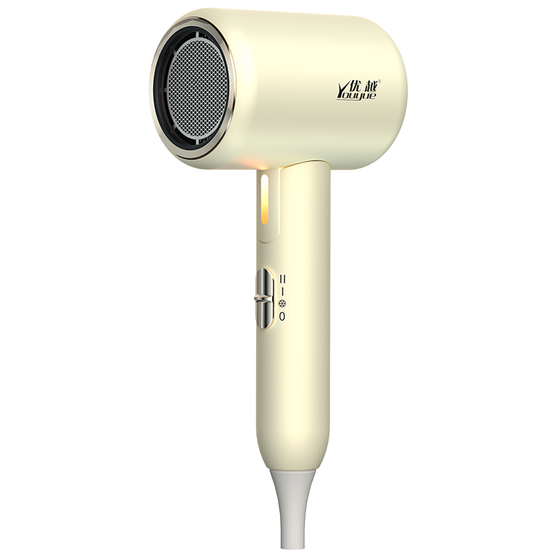 High Power Home Hair Dryer Thermostatic Material Foldable Negative Hairdryer