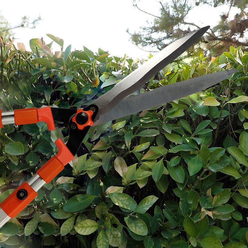 Grapebranch Plantvine Binding Device Tapetool Tying Machine