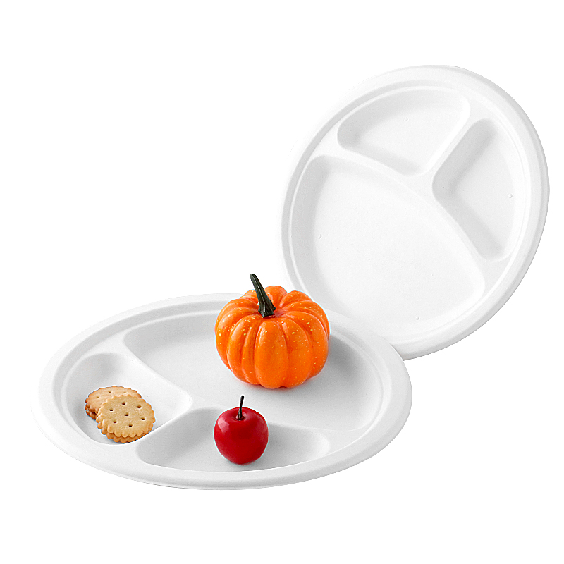 Compostable Product Disposable Sugarcane Paper Tableware Food Packaging Eco Friendly Bagasse Biodegradable Plate