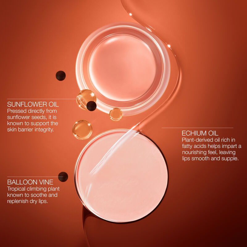 OEM Natural Sunflower Oils Nourishing Lip Treatment High-Quality Day Overnight Lip Mask