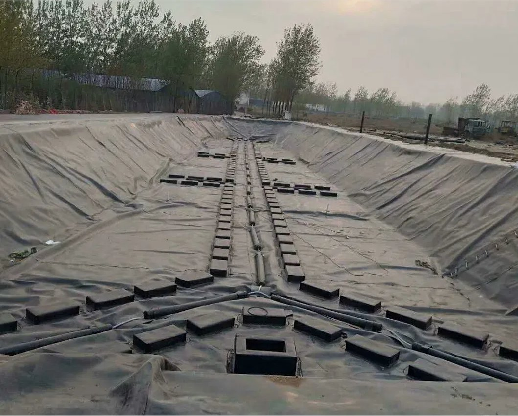 Reinforced Chemically-Resistant Geomembranes for Floating Covers Factory Price Plastic LDPE Tirpal Ytm