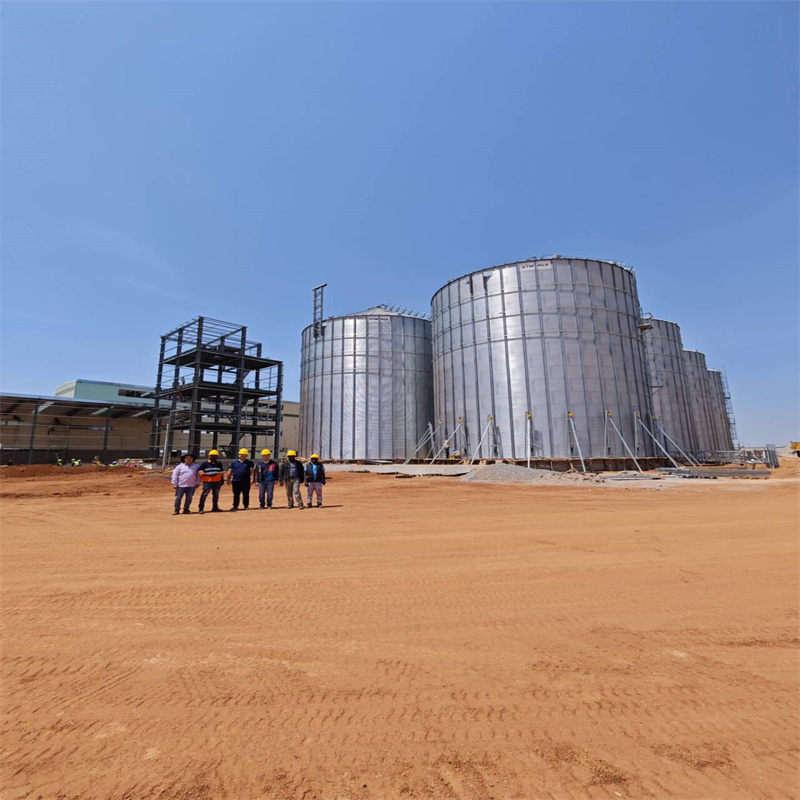 Industrial Design Style Low-Cost Prefabricated Steel Structure Corn Milling Plant Installation Site