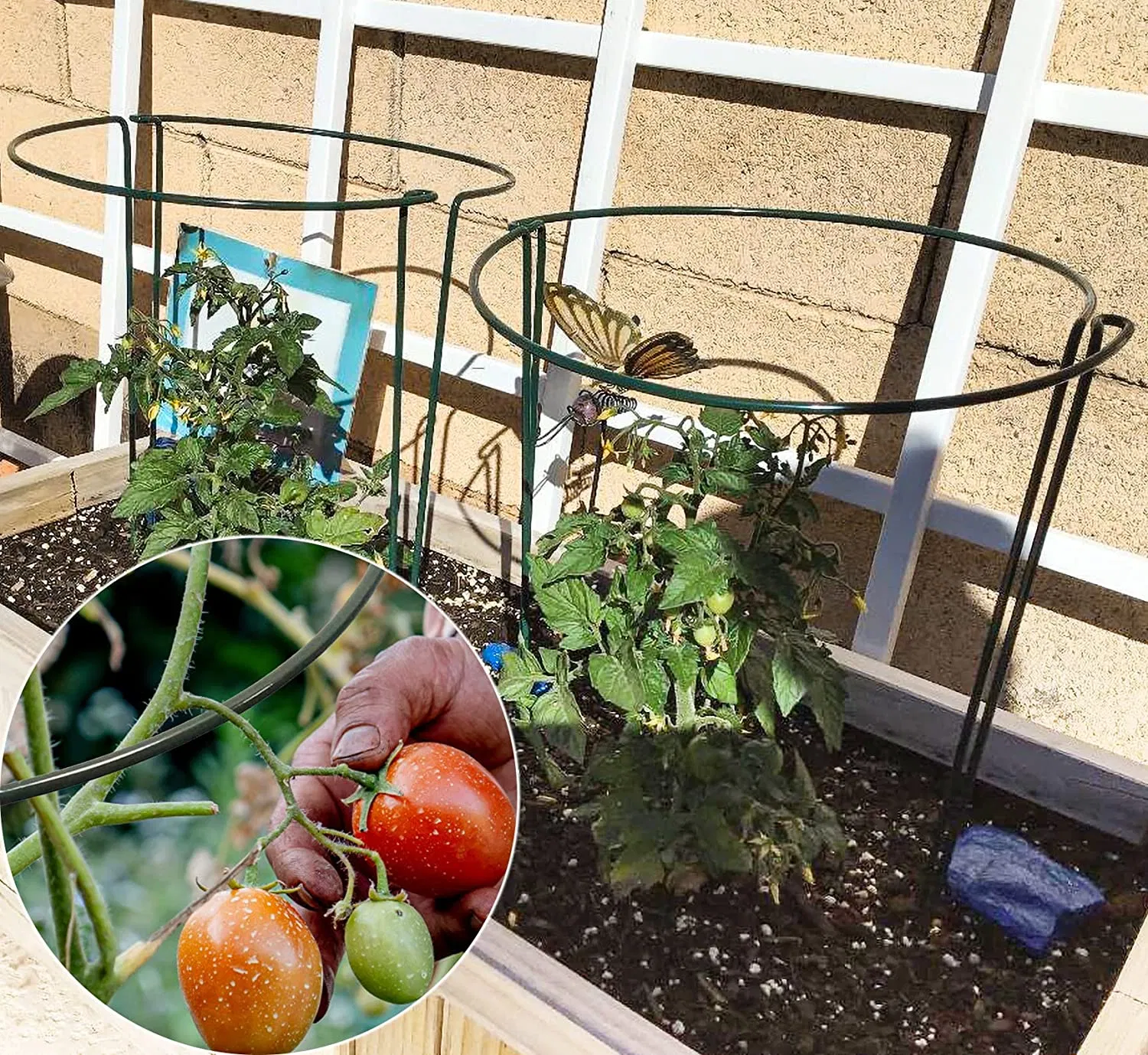 PVC Coated Steel Wire Garden Plant Support Holder