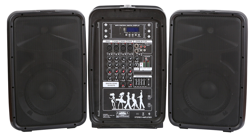 Bluetooth Speaker Supplier with 8inch Bluetooth Portable Soundbox