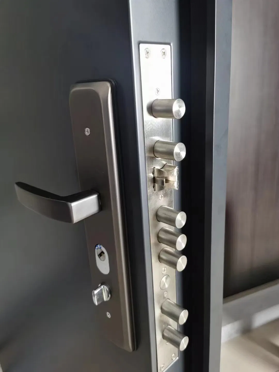 Exterior House Model Metal Door Security Steel Door