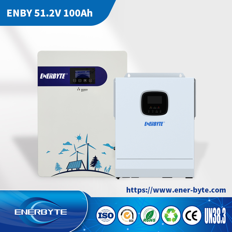 Литий-ионная система хранения энергии 51.2V 100Ah для дома и солнечных панелей