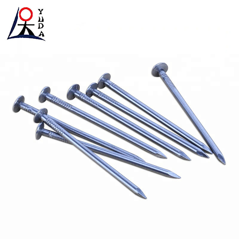 Different Types Concrete Nails Decorative Nails for Wood