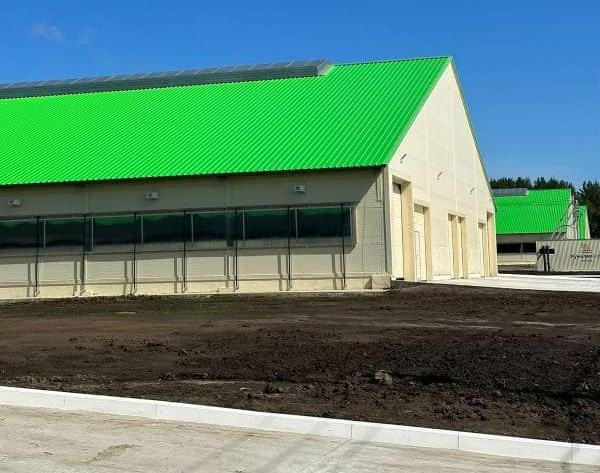 Prefabricated Steel Structure Building for Chicken/Cow Farm