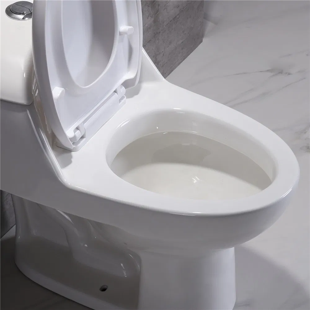 Big Discount South America Bathroom Sanitary Ware Ceramic Inodoro Wc Toilet Bowl