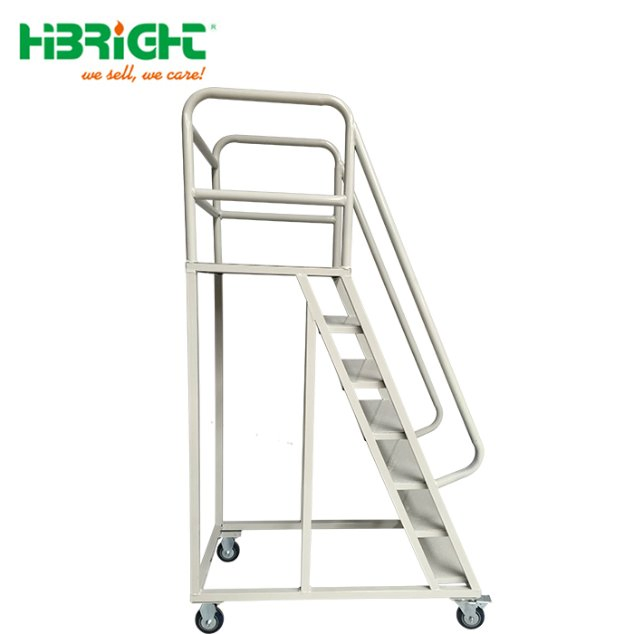 Moveable Warehouse Multi-Functional Picking Trolley with Ladder with Handrail