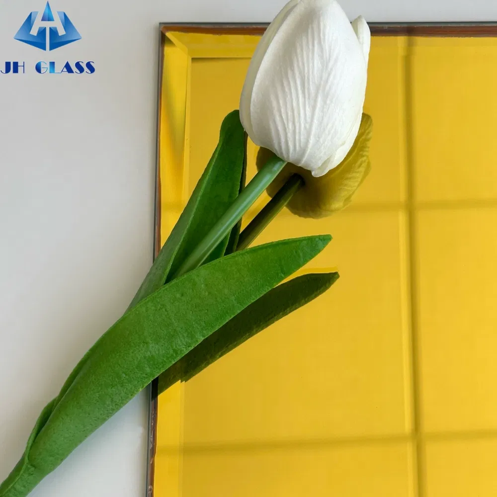 Hot Sale Compliant Tempered Glass Decorative Mirror for Clothing Hat Storage Room