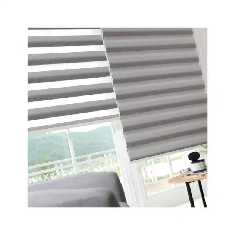 Custom Designer Shimmery Fabric Alexa Dual Double Layer Smart Control Zebra Blinds