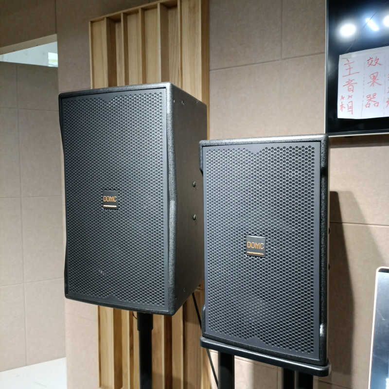 2. High Performance K210 10-Inch Speaker for Studio