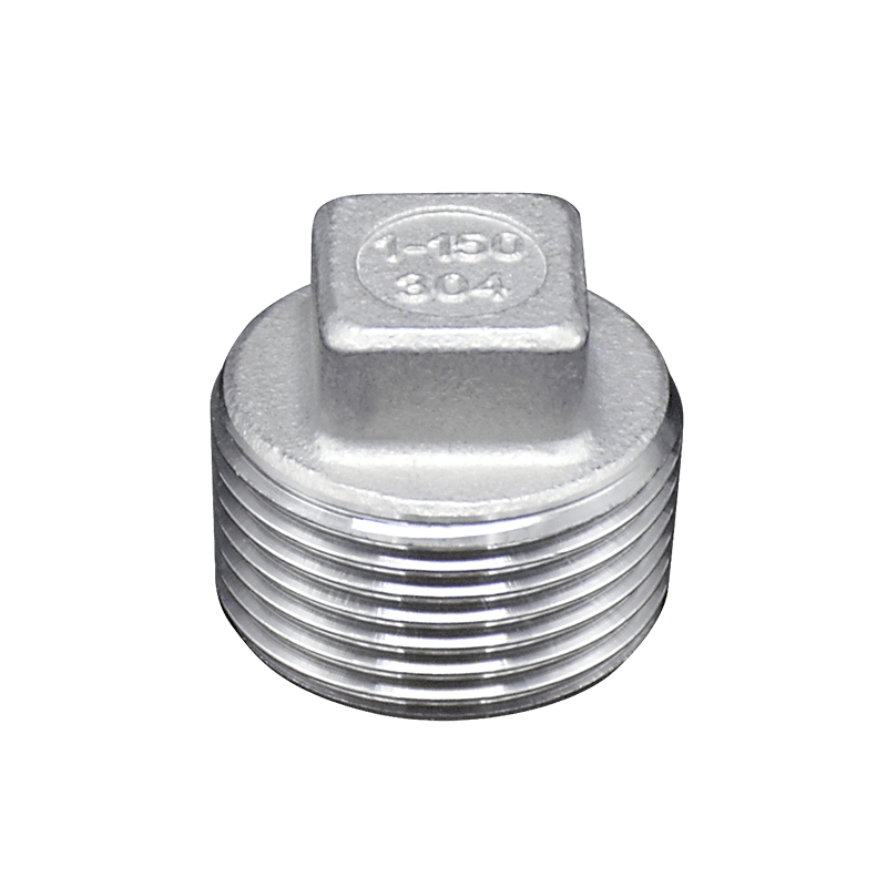 Pipe Fitting Ss 304 316 Round Cap Casting SS304 Pipe Plumbing End Cap BSPT Threaded Stainless Steel Female Fitting 150 Lb Equal
