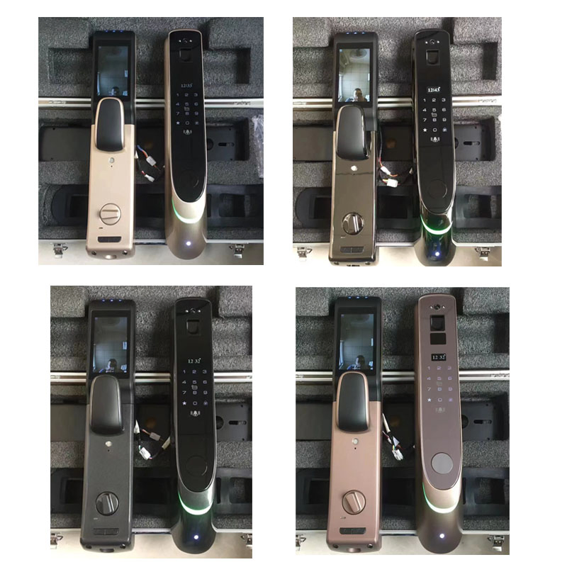 Finger Vein Password IC Card Key Visible Smart Lock