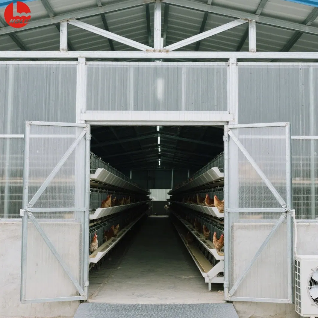 Modular Light Steel Frame Poultry House for Commercial Chicken Farming with Anti-Corrosion Coating
