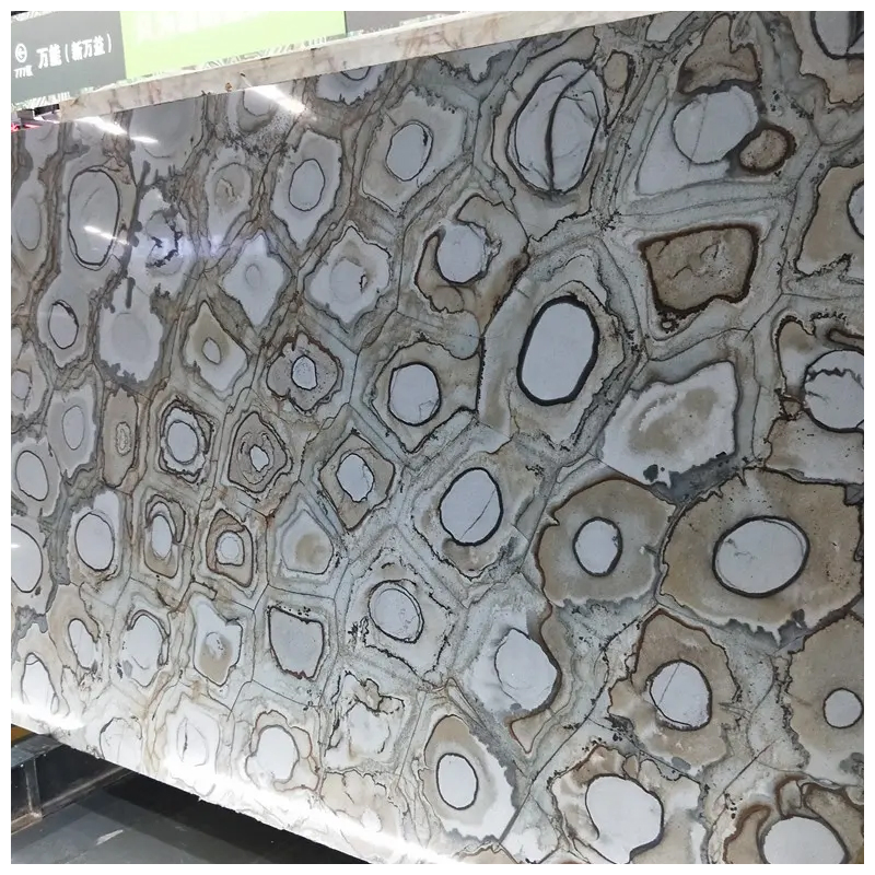 Brazilian Exotic Fossil Velours Quartzite Slabs for Countertops and Walls