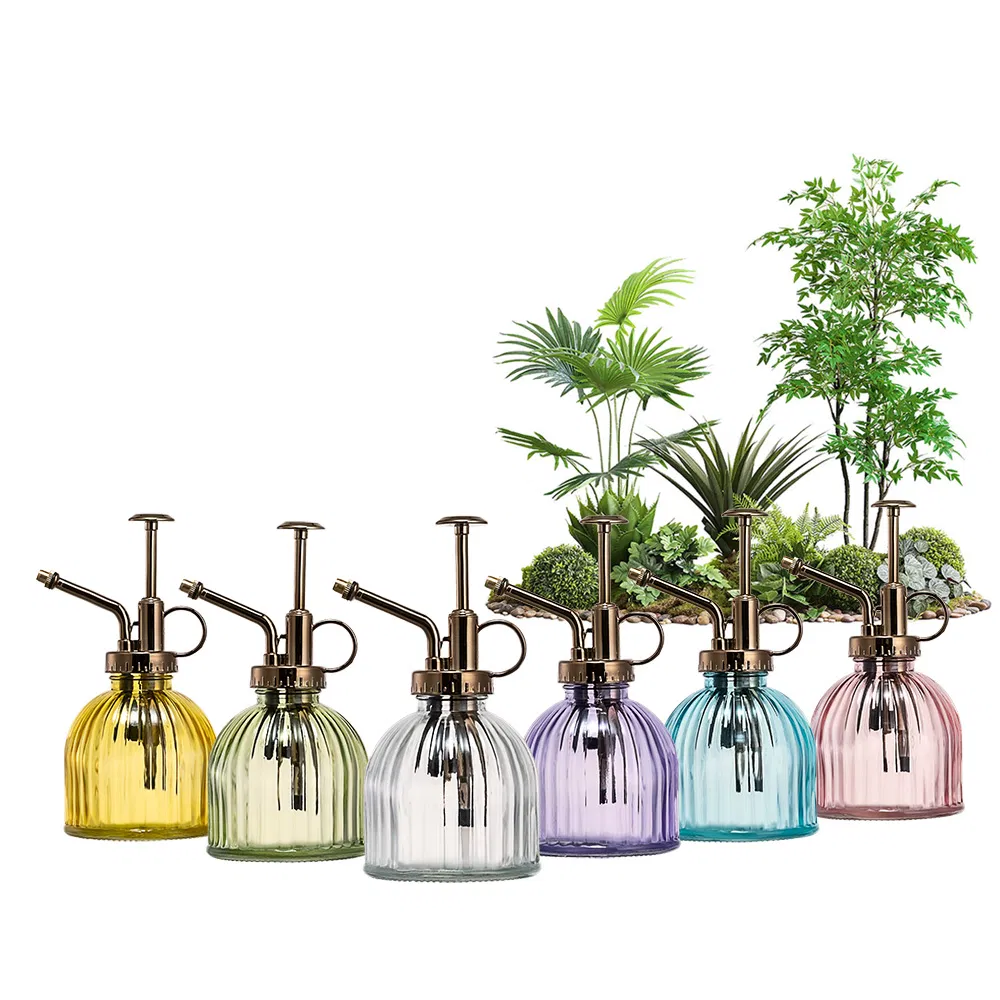 Small Glass Watering Can 200ml Spray Bottle Glass Plant Mister with Plastic Top Pump for Indoor Potted Plants