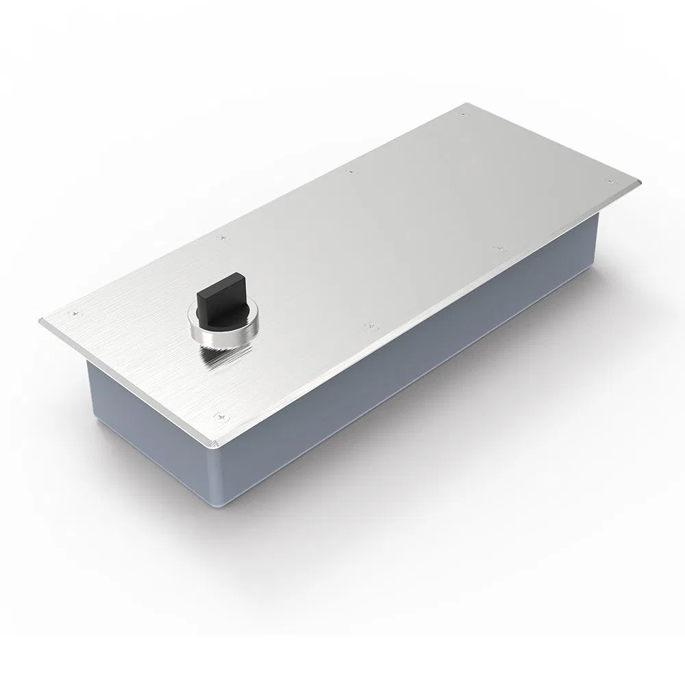 Remote Door Opening Waterproof Hydraulic Floor Spring for Airport Terminal Building