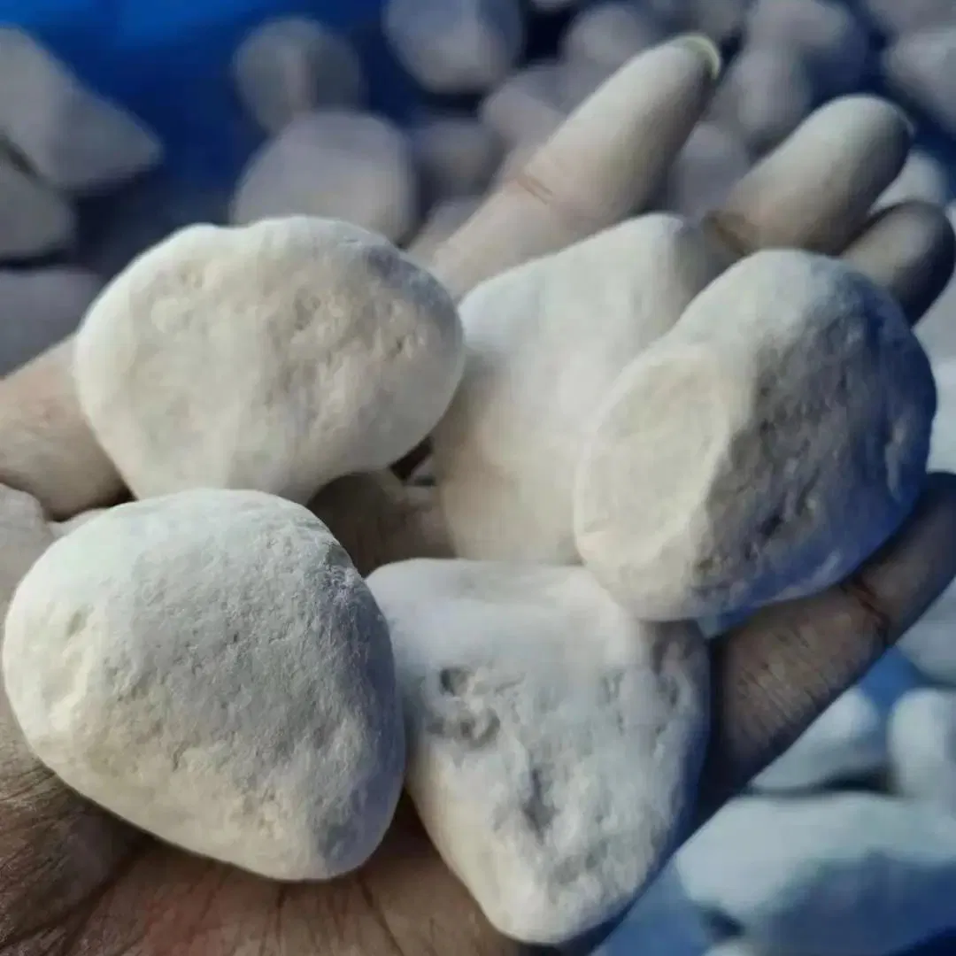 The Best Garden Pebble Stones Snow White Stone for Rolling