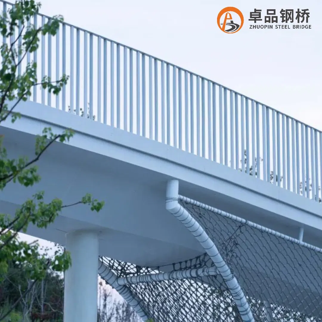 Sustainable Steel Structure Bridge /China Steel Bridge