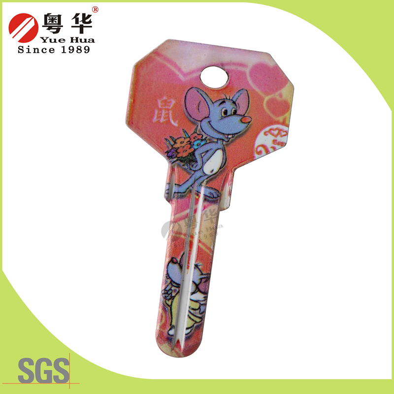 Mini 3D Animal Painted Color Remote Key Blanks for Locksmith