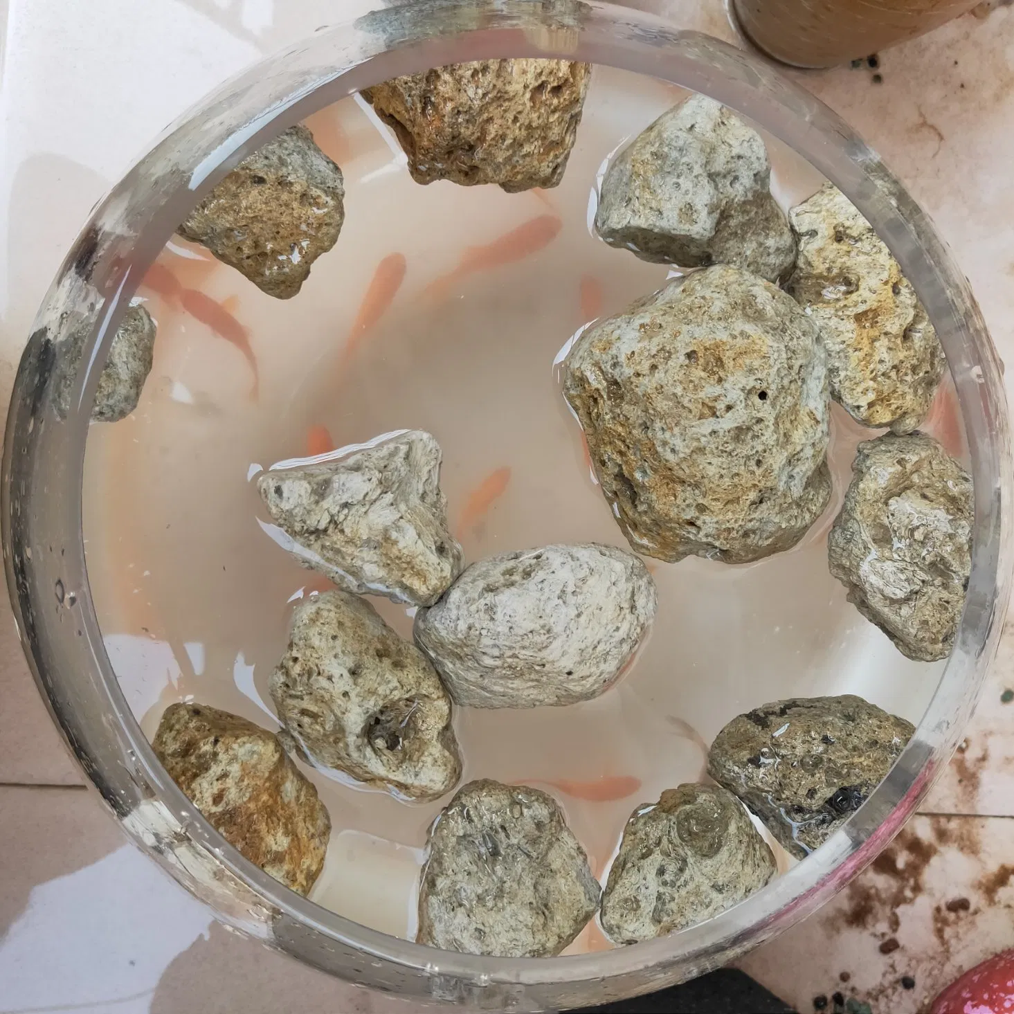 Light-Weight Pumice White Stone Float on Water for Foot Cleaner Filter Gardening Farm Growing Plants etc.